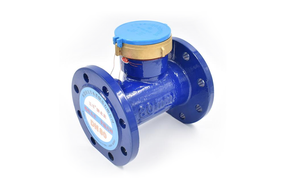 Large diameter horizontal screw water meter